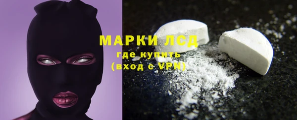 соль ск Дубна