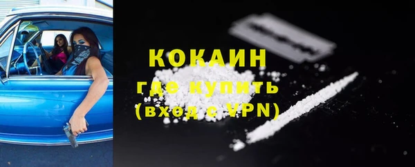 индика Новокубанск