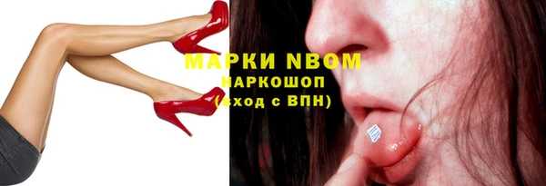 соль ск Дубна
