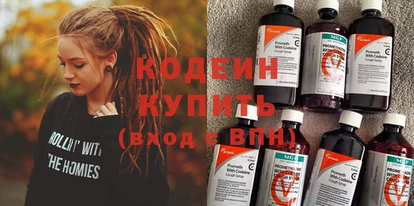 индика Новокубанск