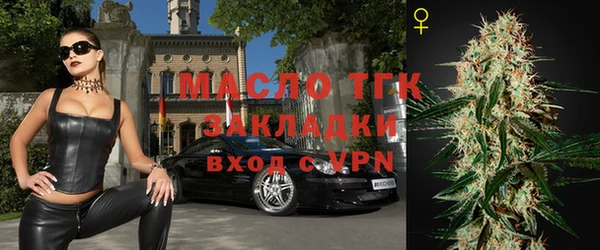 индика Новокубанск