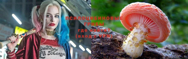 кокаин Новодвинск